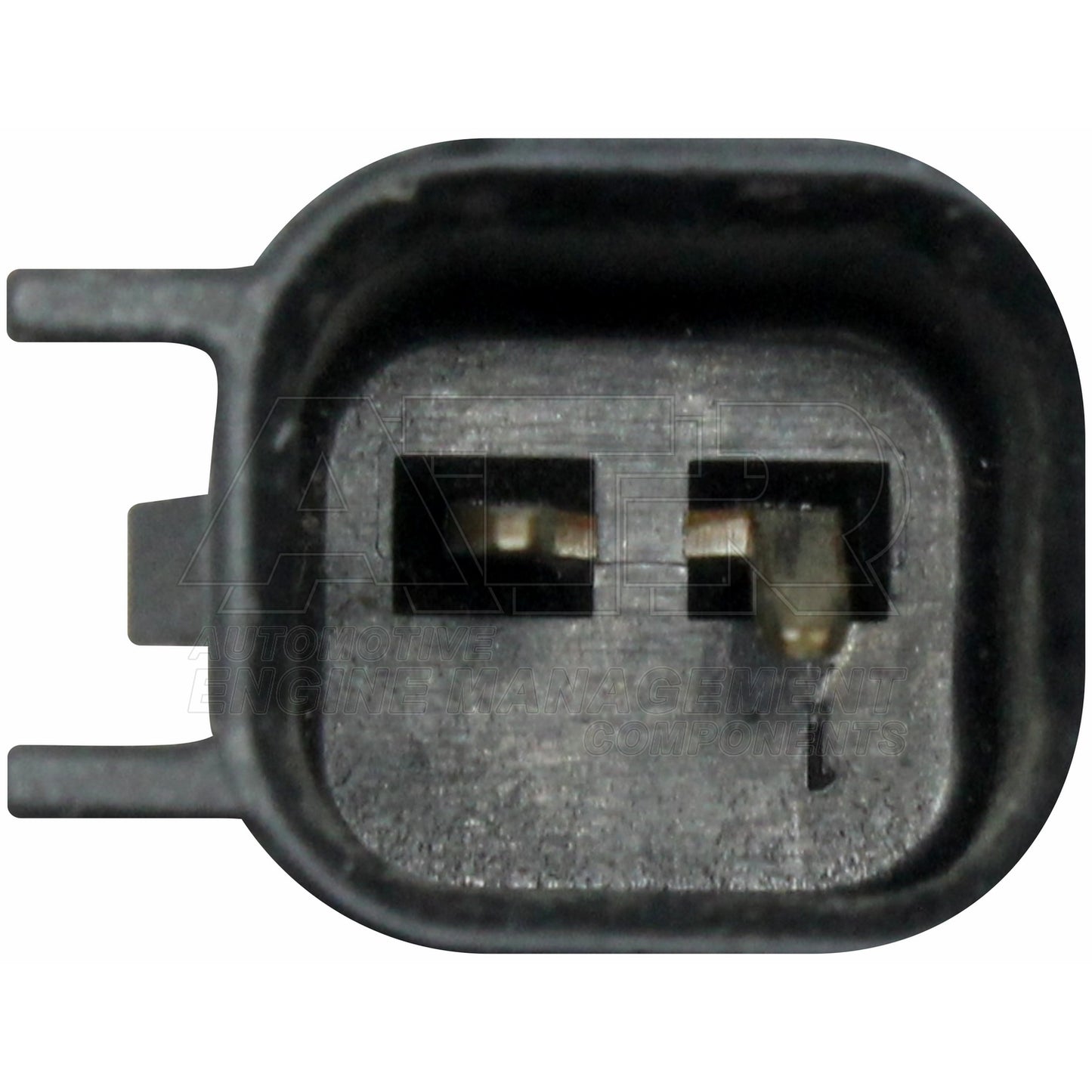 Inyector INJTR-55562599